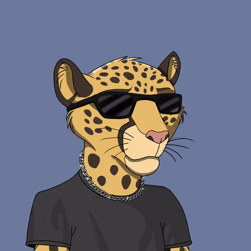 Coalition Crew 2 0