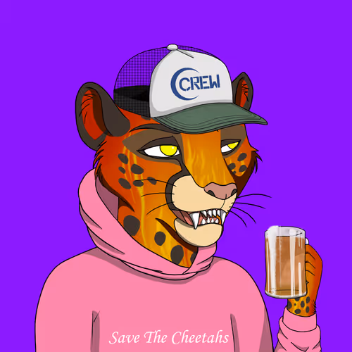 Coalition Crew 2 0