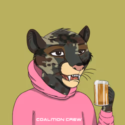 Coalition Crew 2.0 #1272