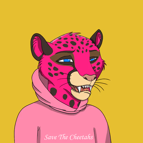 Coalition Crew 2 0