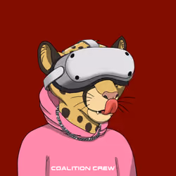 Coalition Crew 2.0 #594