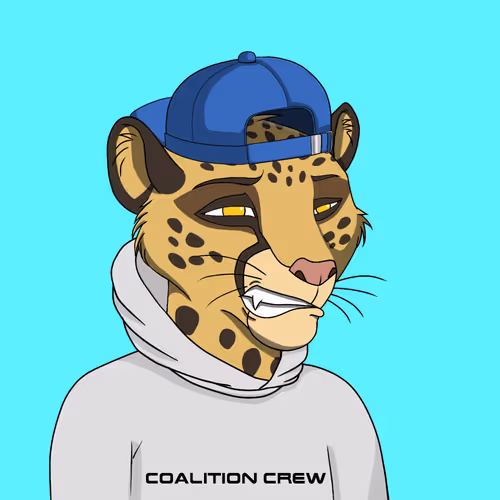 Coalition Crew 2 0