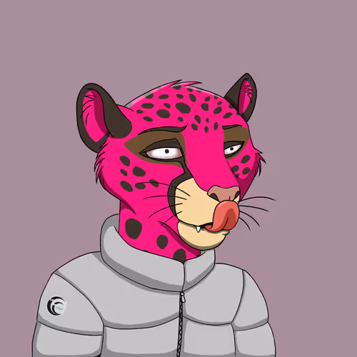 Coalition Crew 2 0