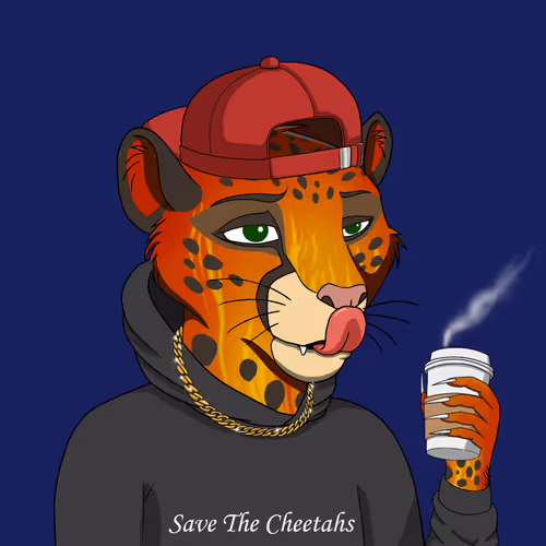 Coalition Crew 2 0