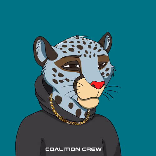 Coalition Crew 2 0