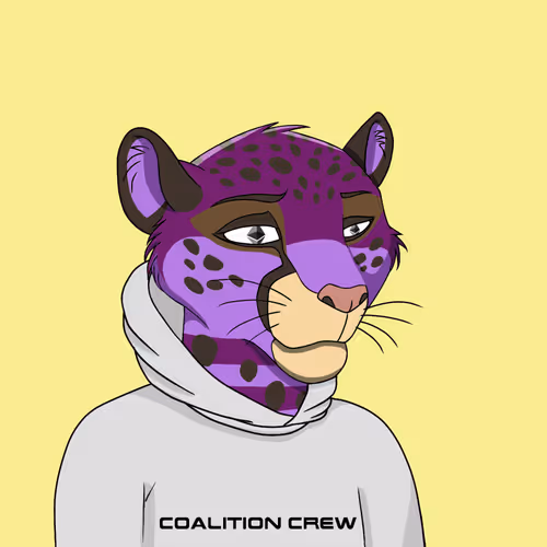 Coalition Crew 2 0