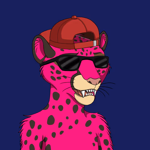 Coalition Crew 2 0