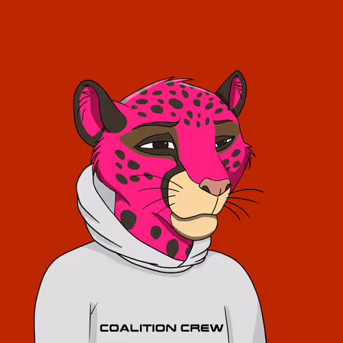 Coalition Crew 2 0
