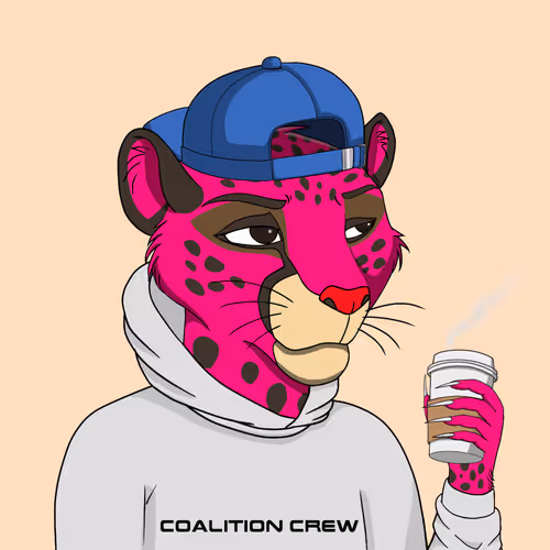 Coalition Crew 2 0
