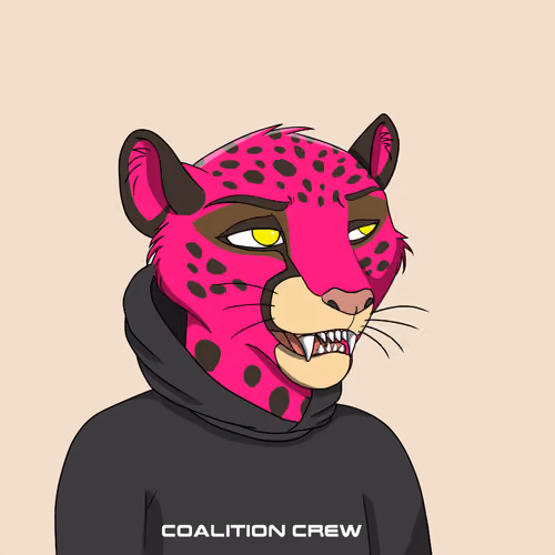 Coalition Crew 2.0 #458