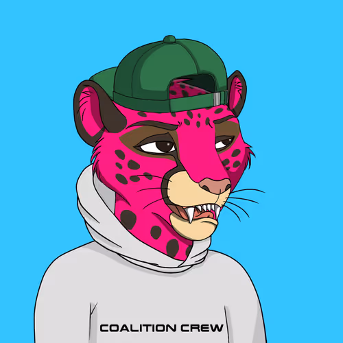Coalition Crew 2 0