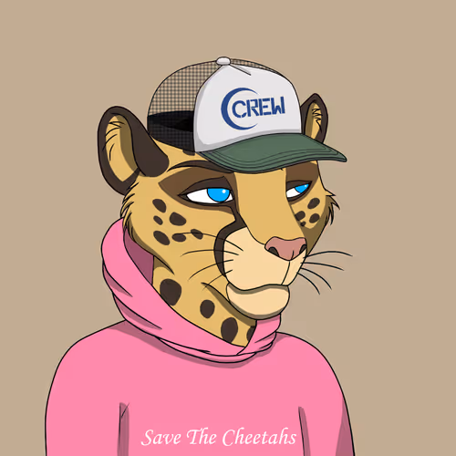 Coalition Crew 2 0