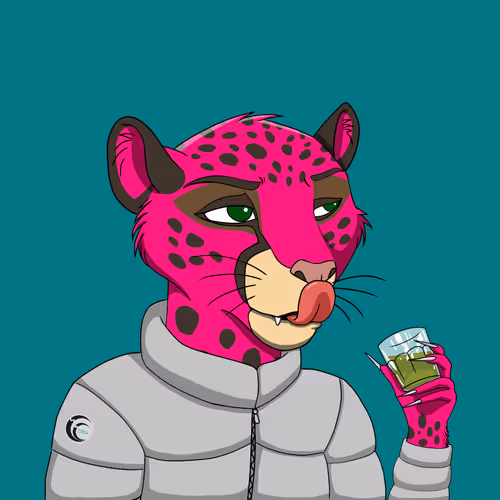 Coalition Crew 2 0