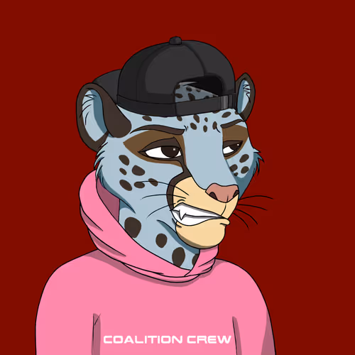 Coalition Crew 2 0