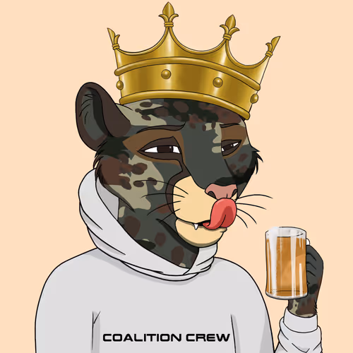 Coalition Crew 2 0