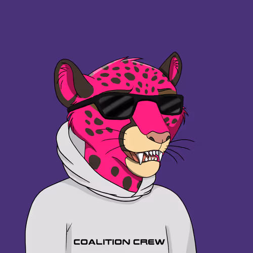 Coalition Crew 2 0