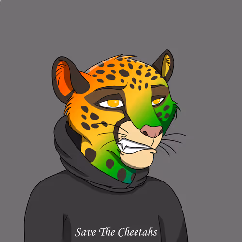 Coalition Crew 2 0