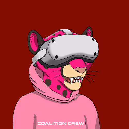 Coalition Crew 2 0
