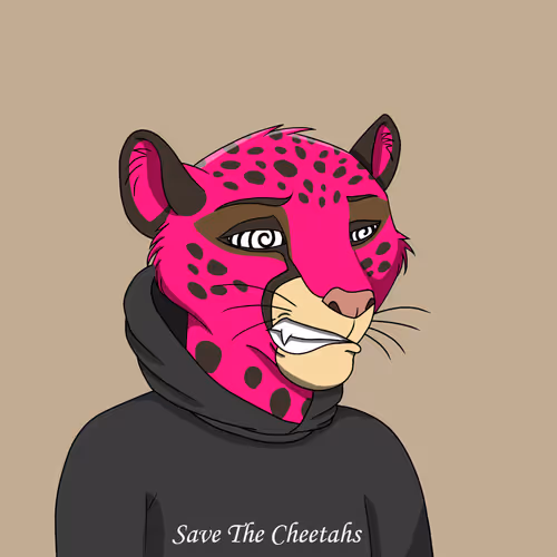 Coalition Crew 2 0