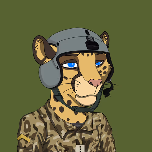 Coalition Crew 2 0