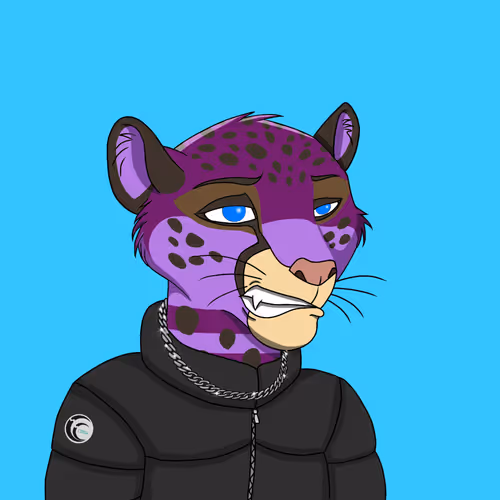 Coalition Crew 2 0