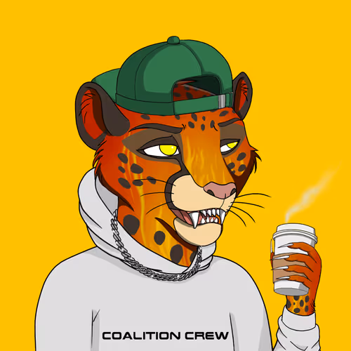 Coalition Crew 2 0