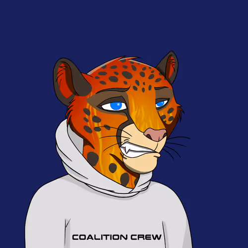 Coalition Crew 2 0