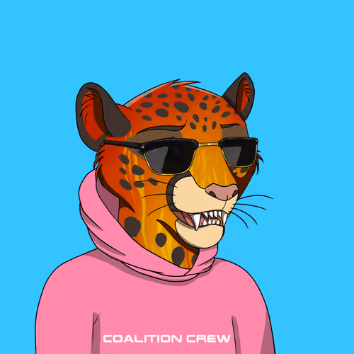 Coalition Crew 2 0