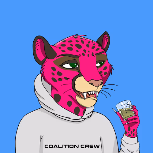 Coalition Crew 2 0