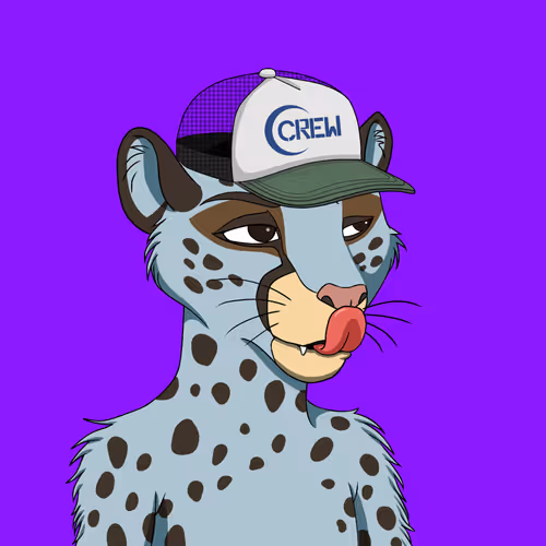 Coalition Crew 2 0