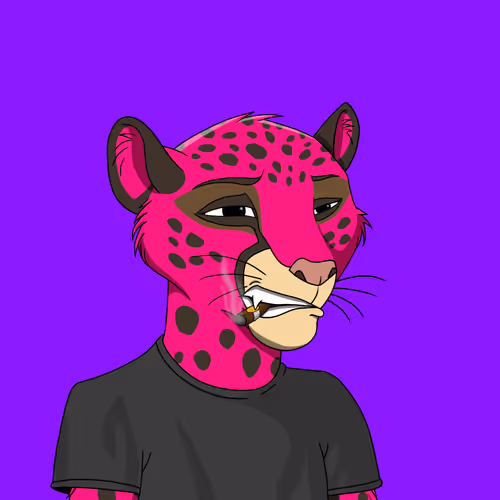 Coalition Crew 2 0