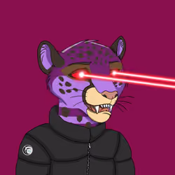 Coalition Crew 2.0 #143