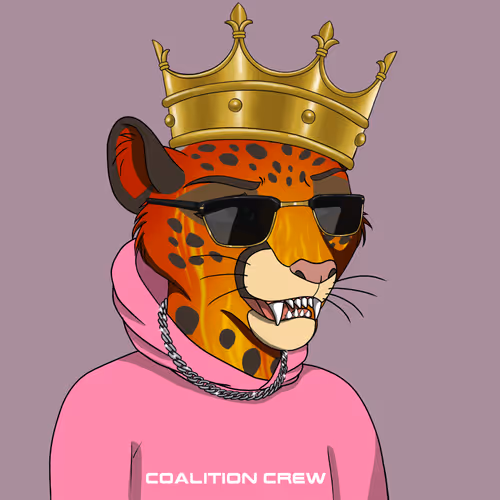 Coalition Crew 2 0