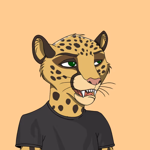 Coalition Crew 2 0