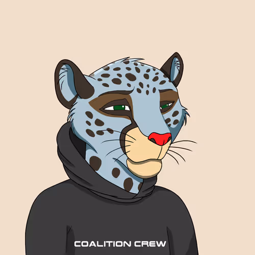 Coalition Crew 2 0