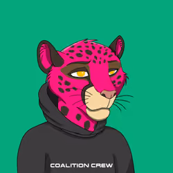 Coalition Crew 2.0 #3282