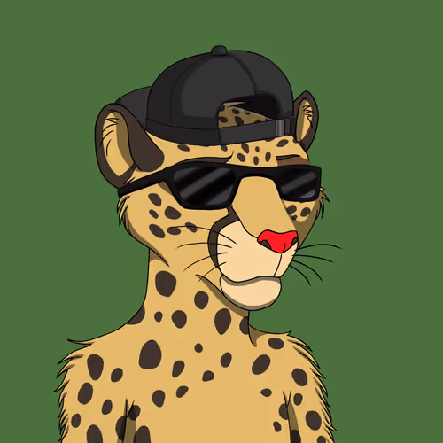 Coalition Crew 2 0