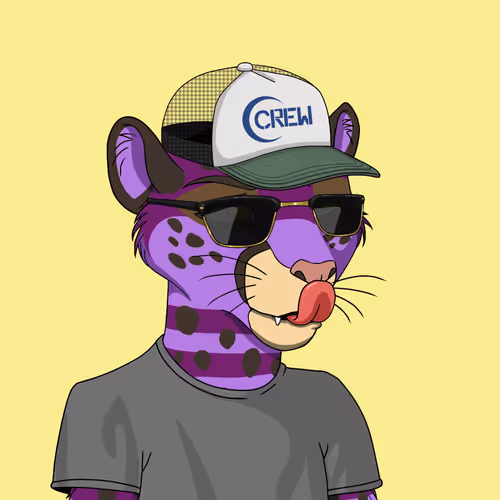 Coalition Crew 2 0