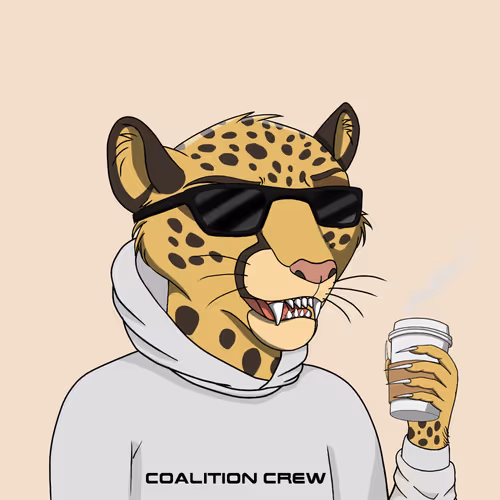 Coalition Crew 2 0