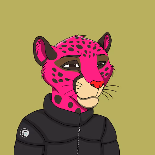 Coalition Crew 2 0