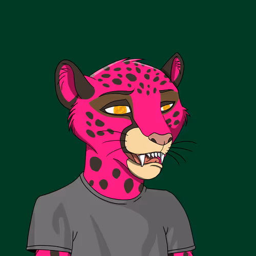 Coalition Crew 2 0