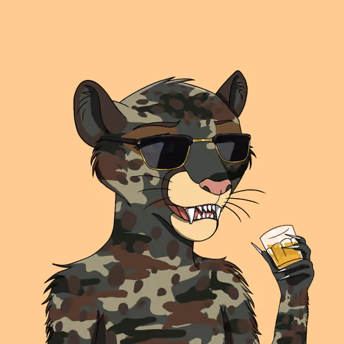 Coalition Crew 2.0 #648