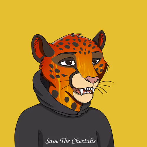 Coalition Crew 2 0