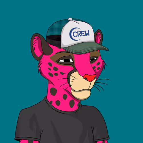 Coalition Crew 2 0
