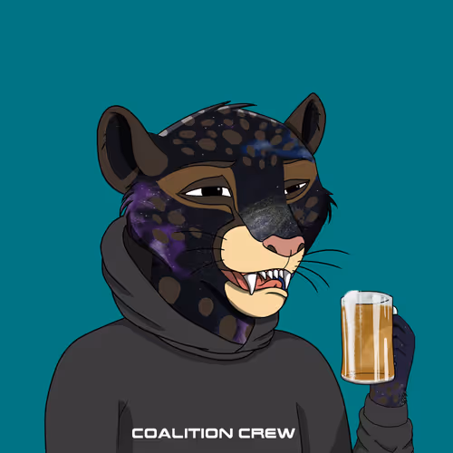 Coalition Crew 2 0