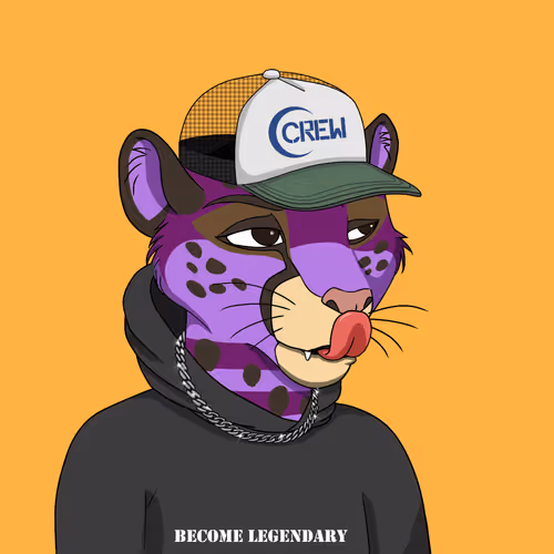 Coalition Crew 2 0