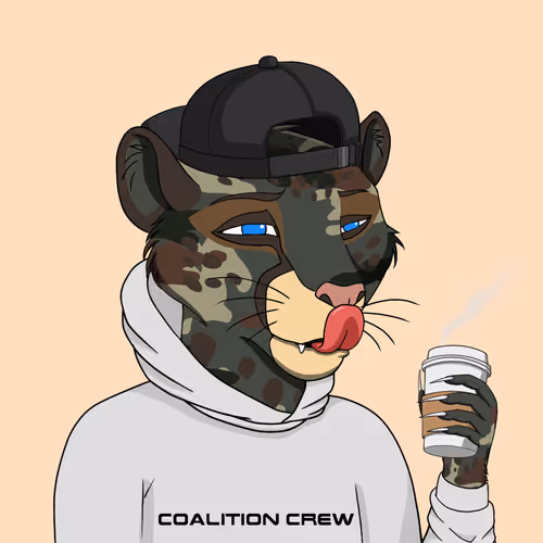 Coalition Crew 2 0
