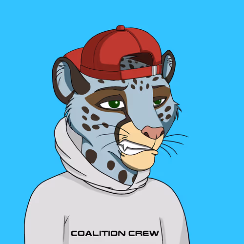 Coalition Crew 2 0