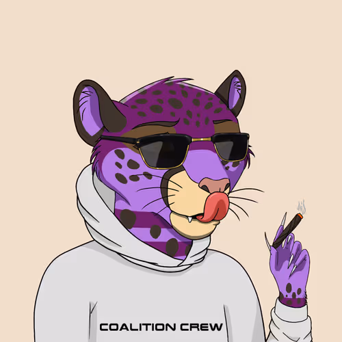 Coalition Crew 2 0
