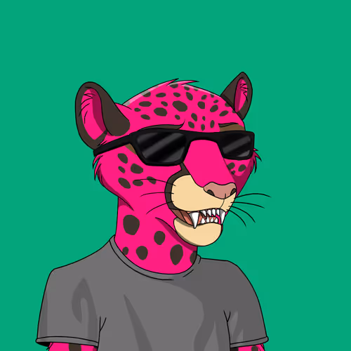 Coalition Crew 2 0